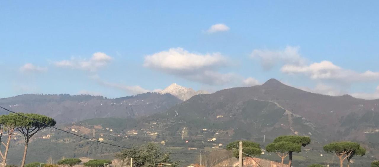 Domus Zoe Forte dei Marmi